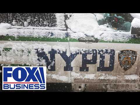 ‘EVERY SINGLE ONE SHOULD BE ARRESTED’: GOP rep EXPLODES over NYPD clash