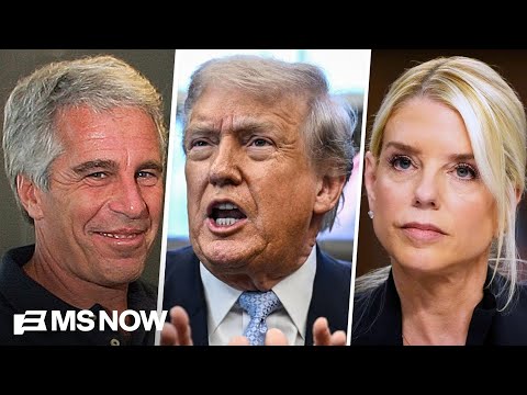 Absence of Trump-related docs in Epstein files is ‘really glaring’: Attorney