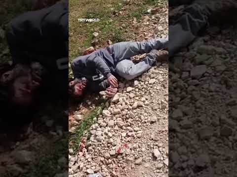 Illegal Israeli settlers attack Palestinians and international activist