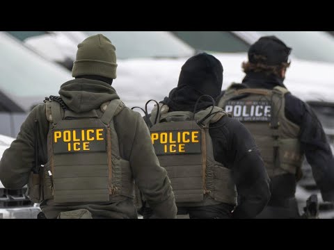 Less than 14% arrested by ICE in 2025 had violent criminal records, DHS document shows