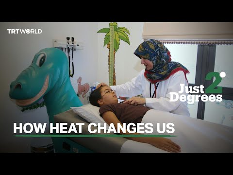 Could global warming be making us sick from the inside?