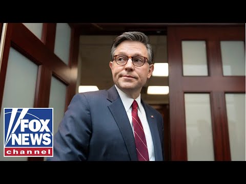 Democrats are pushing for another ‘partial government shutdown,’ Speaker Johnson says