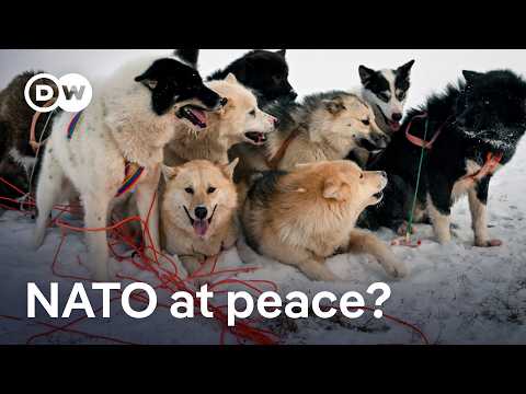 US stepping back, Europe stepping forth: A new dynamic in NATO? | DW News