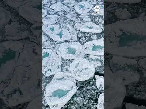 Lake Michigan covered in ice pancakes