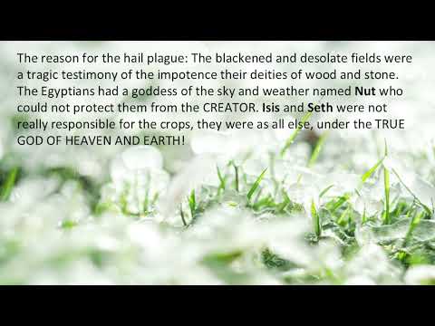 BOILS & HAIL–The Reason God Sent Boils & Hail