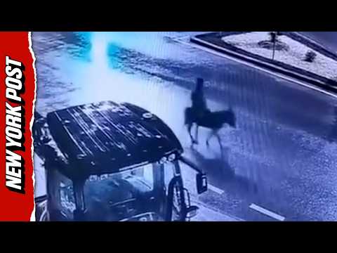 Donkey-Riding Thief Smashes Into Jewelry Store With Forklift, Police Say