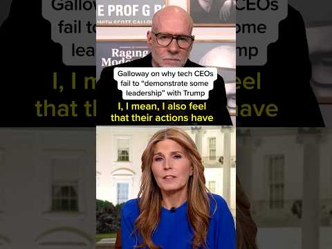 Tech CEOS had an ‘Incredible opportunity to demonstrate some leadership’