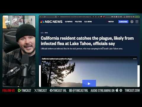 California Hit By PLAGUE, Disgusting State And Poor Leadership | Tim Pool