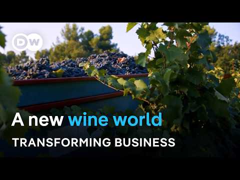 How climate change is reshaping the world’s wine map | Transforming Business