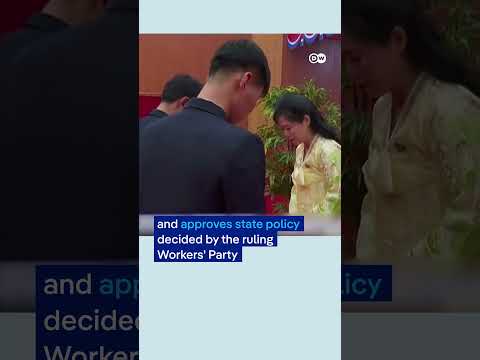 North Koreans take part in parliament election | DW News