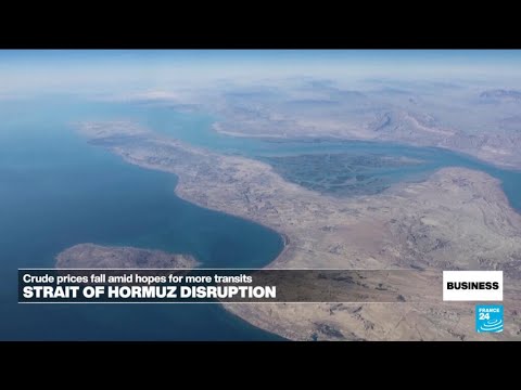 Oil eases amid signs Iran is allowing some tankers pass through Strait of Hormuz • FRANCE 24
