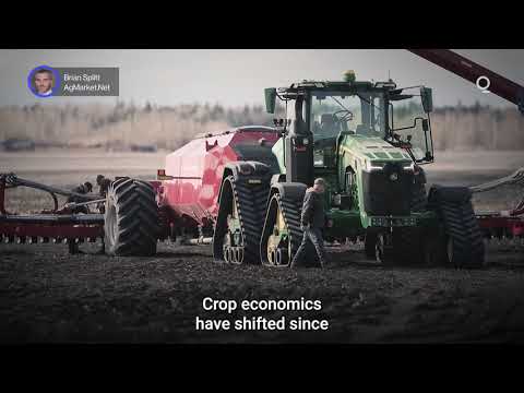 Could 2026 Be the Year of Soybeans? | Presented by CME Group
