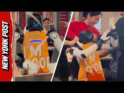 Dancing Robot Breaks Down Mid-Performance