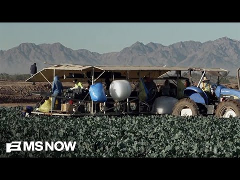 From War to Your Wallet: How Farmers Are Getting Crushed by Rising Costs