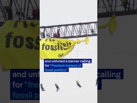 Climate stunt at German chancellery | DW News