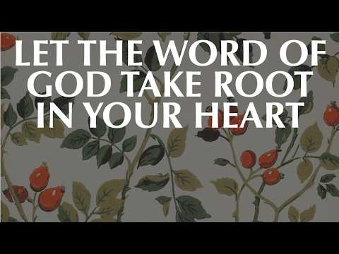 LET THE WORD OF GOD TAKE ROOT IN YOUR HEART