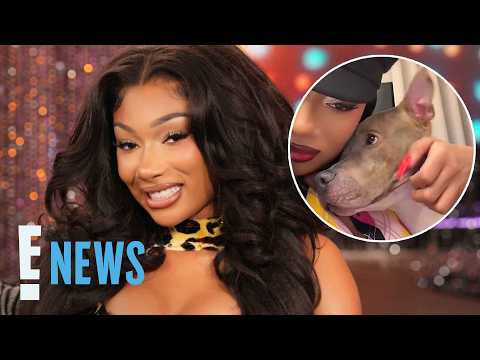 Megan Thee Stallion Adopts Dog After Learning About Kill Shelters | E! News