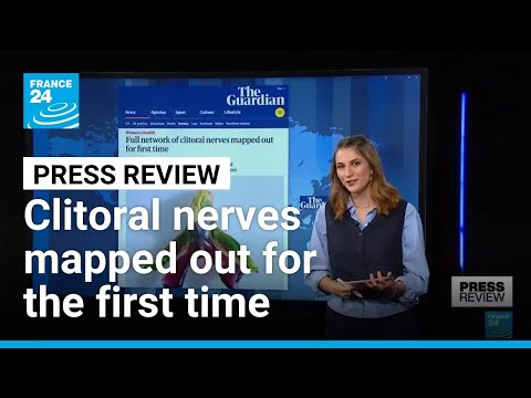 Clitoral nerves mapped for the first time, thirty years after male counterpart • FRANCE 24 English