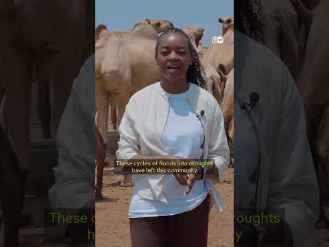 Kenya: When the rain stops | DW News