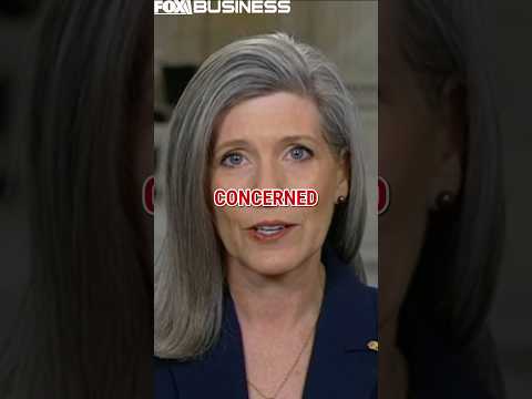 ‘WE SHOULD BE CONCERNED’: Lawmaker warns of Iran sleeper cell threat #shorts