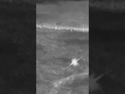 British fighter jets shoot down drones over Jordan and Iraq #shorts