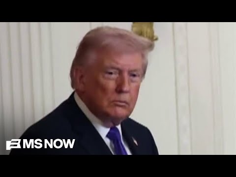 ‘Devastating splash of negative economic headlines’: Trump’s war with Iran puts oil prices in peril