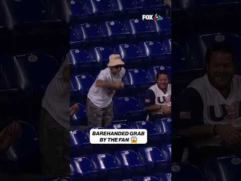 INCREDIBLE FAN CATCH 🤯 #fan #catch #worldbaseballclassic