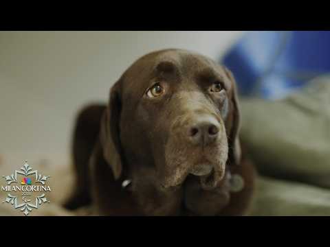 Meet Gigi, one of the unsung heroes of the Milan Cortina Winter Paralympics | NBC Sports