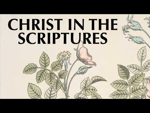CHRIST IN THE SCRIPTURES