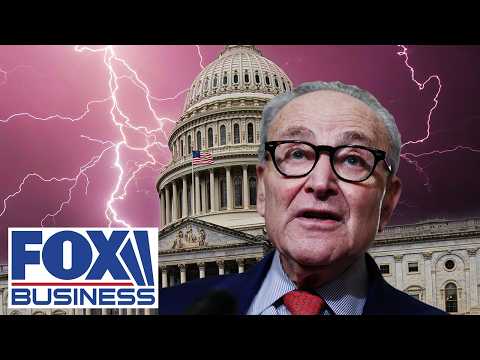 ‘UNCONSCIONABLE’: GOP rep accuses Schumer of engineering funding crisis