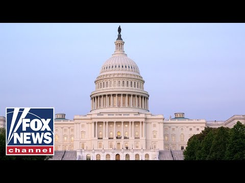 Americans’ rights ‘deserve protection’ if contacted by foreign actors: GOP lawmaker