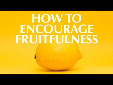 HOW TO ENCOURAGE FRUITFULNESS