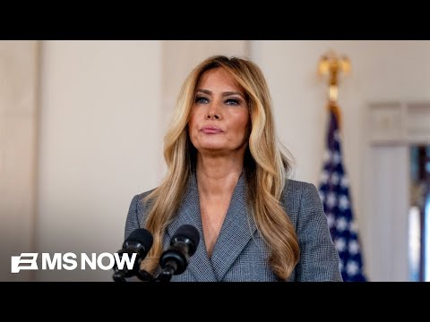 ‘She doesn’t do anything on the fly’: Fmr. Melania Trump official reacts to her Epstein statement