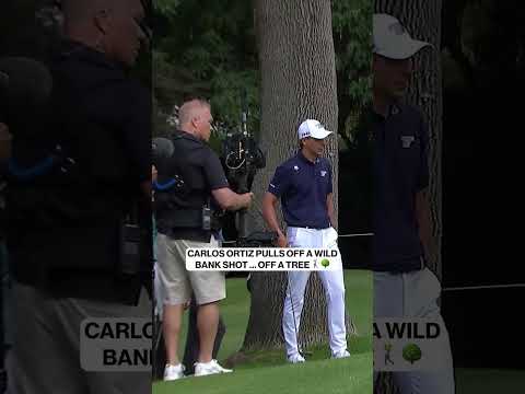 Tree Bank Shot 🤯 #golf #topplays #livgolf #carlosortiz #tree