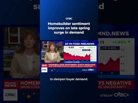 Homebuilder sentiment improves on late spring surge in demand