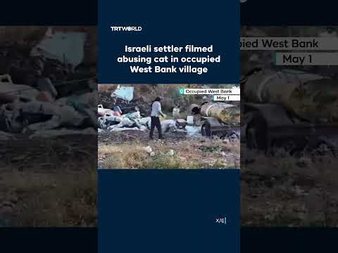 Israeli settler filmed abusing cat in occupied West Bank village
