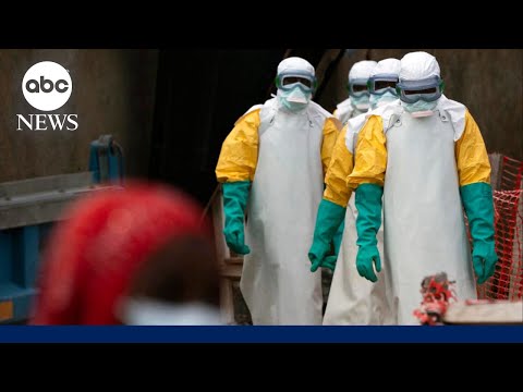 What does Ebola actually do, and how does it spread?