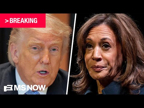 BREAKING: Democrats release incomplete autopsy report on 2024 election loss
