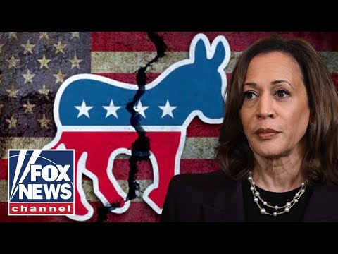 ‘DISASTER!’: Former Dem megadonor delivers SCATHING party assessment