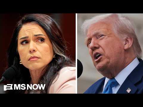 What really pushed Tulsi Gabbard to resign as DNI