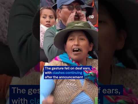 Bolivia’s president to half his salary | DW News