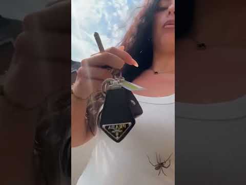 MASSIVE spider crawls up woman’s chest completely unnoticed #shorts