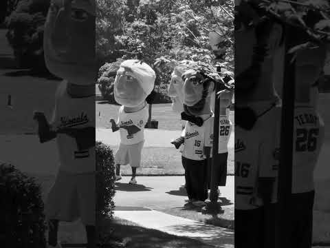 These Oversized Guests Tower Over Trump at the White House #shorts