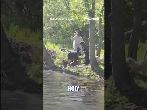 RABID beaver ATTACKS family at NJ lake #foxnews #news #us #fox