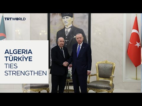 Turkish, Algerian presidents meet in Ankara for bilateral talks
