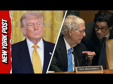 Trump: Fire the Staffer Who Made McConnell ‘Look Foolish’ at Hegseth Hearing