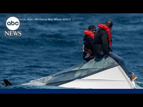 Dramatic ocean rescue off the California coast