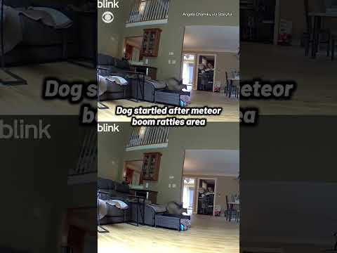 Dog startled as boom from meteor rattles Massachusetts home #shorts