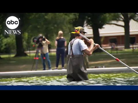 Reflecting Pool troubles