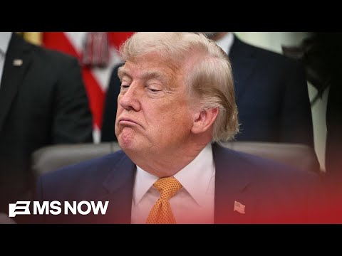 ‘He Doesn’t Give A SH*T’: Alex Wagner goes OFF about Trump’s ‘Clownish’ Administration